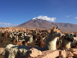 volcan