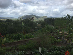 Jardin_écologique