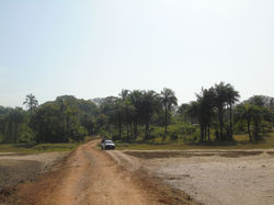 Piste sénégalaise
