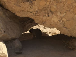 Petite visite dans la rando