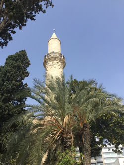 Grande_Mosquée
