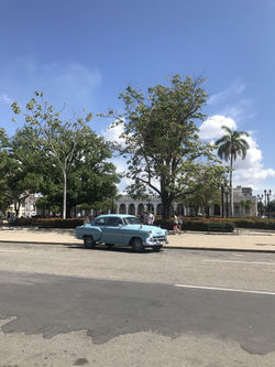 Taxi collectivo