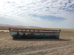 Reserva nacional de Paracas