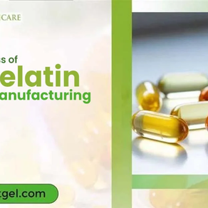 Complete Soft Gelatin Capsule Manufacturing Process Explained