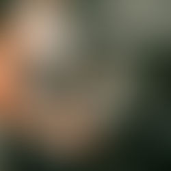 Beber bastante água é um hábito que todo mundo sabe que precisa adquirir. Mas você sabe quais são os principais efeitos da água nos seus músculos? Talvez os benefícios abaixo o motivem a beber mais. 