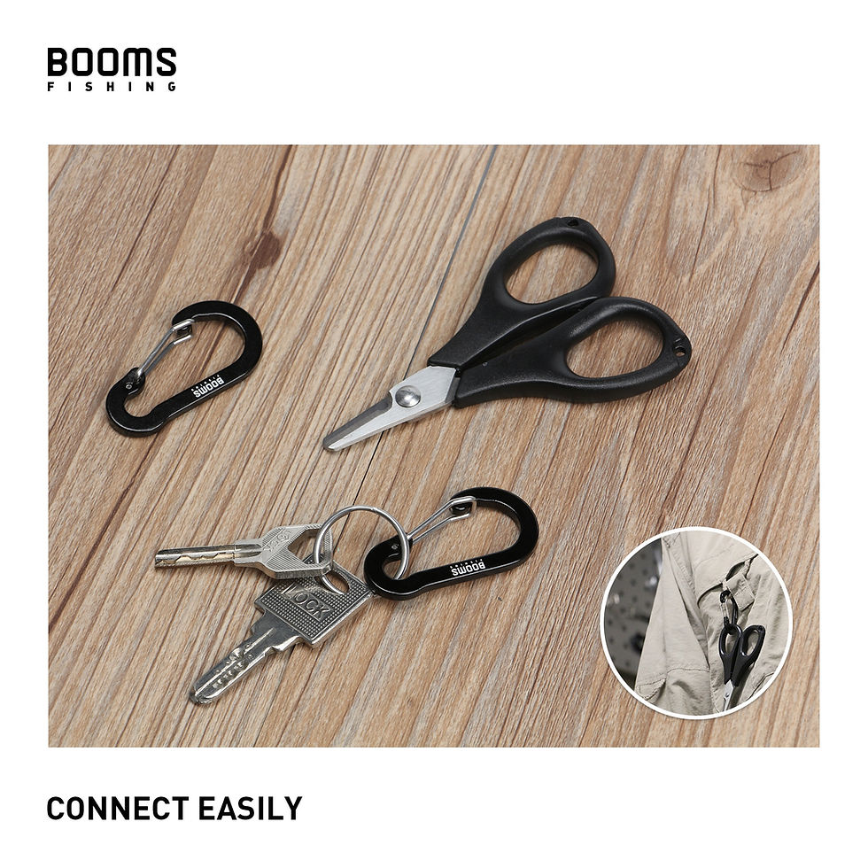 Thumbnail: Booms Fishing CC1 6/10Pcs Aluminum Alloy Carabiner Keychain