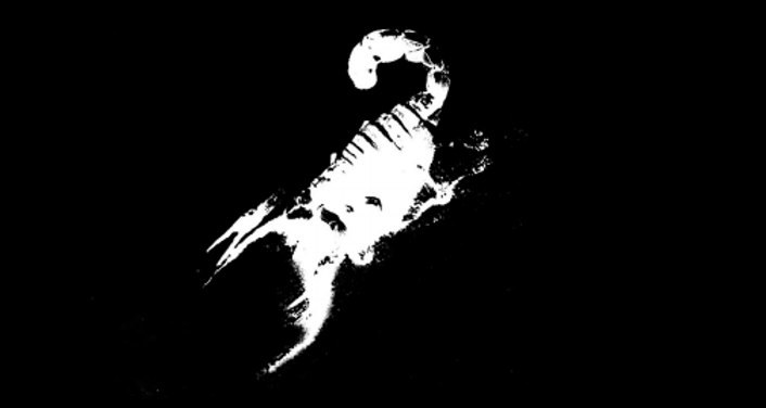 The Scorpion