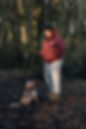 Bubba'sDogTraining-86_Original.jpeg