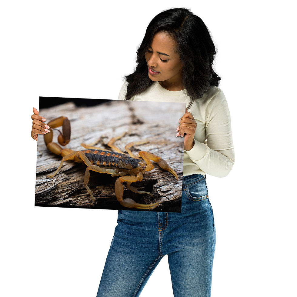 Thumbnail: Poster