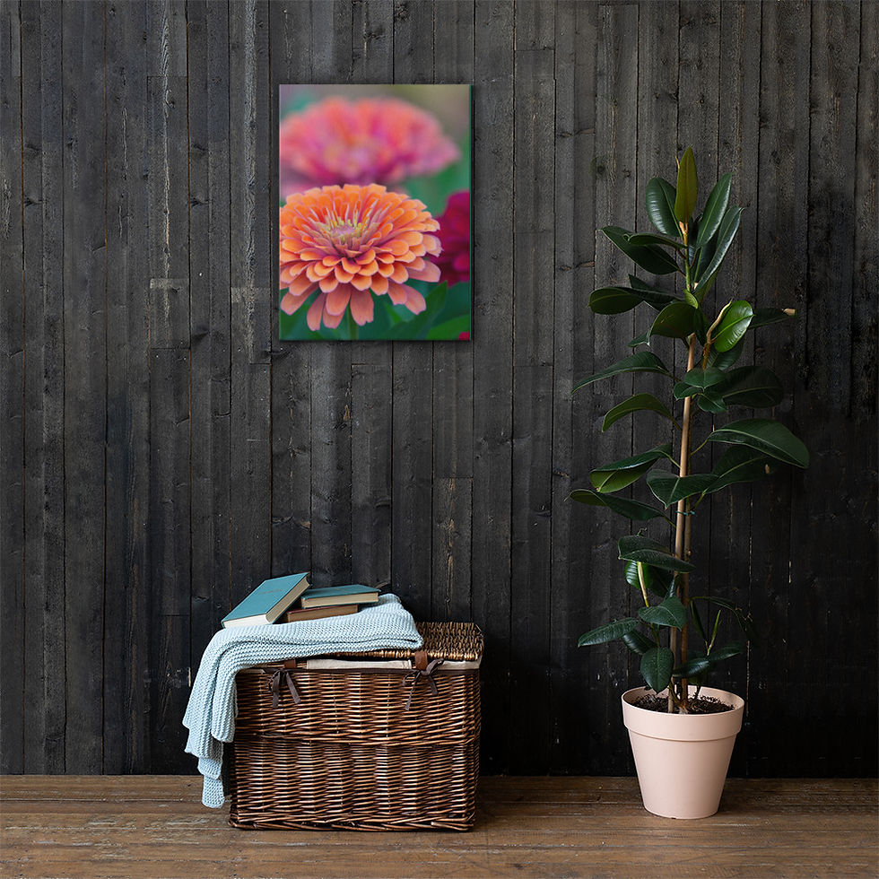 Thumbnail: Canvas