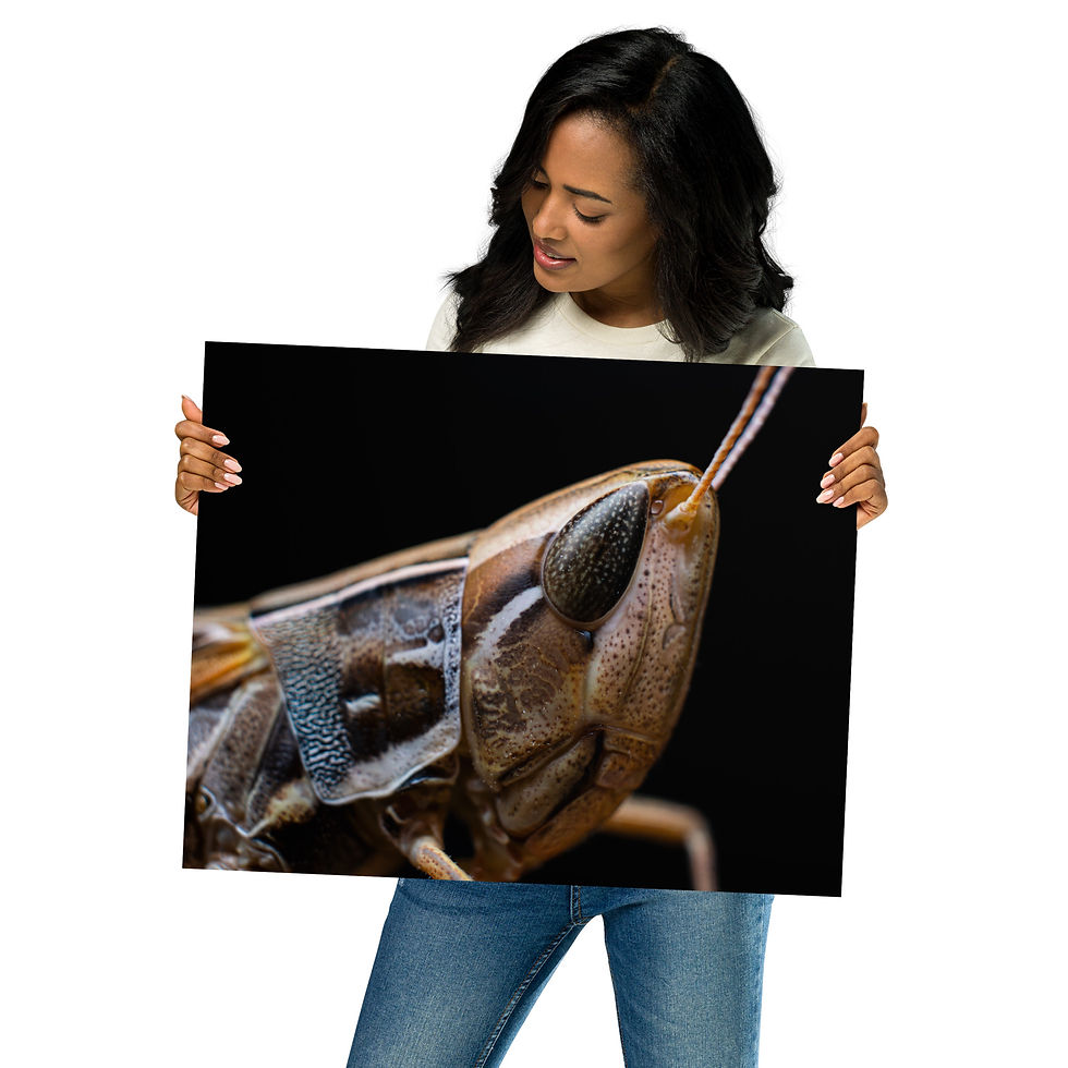 Thumbnail: Poster