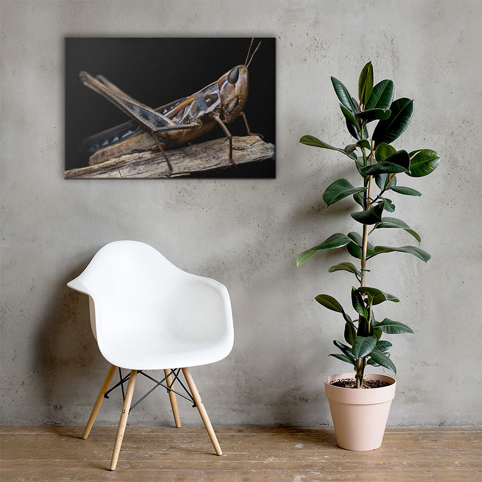 Thumbnail: Canvas