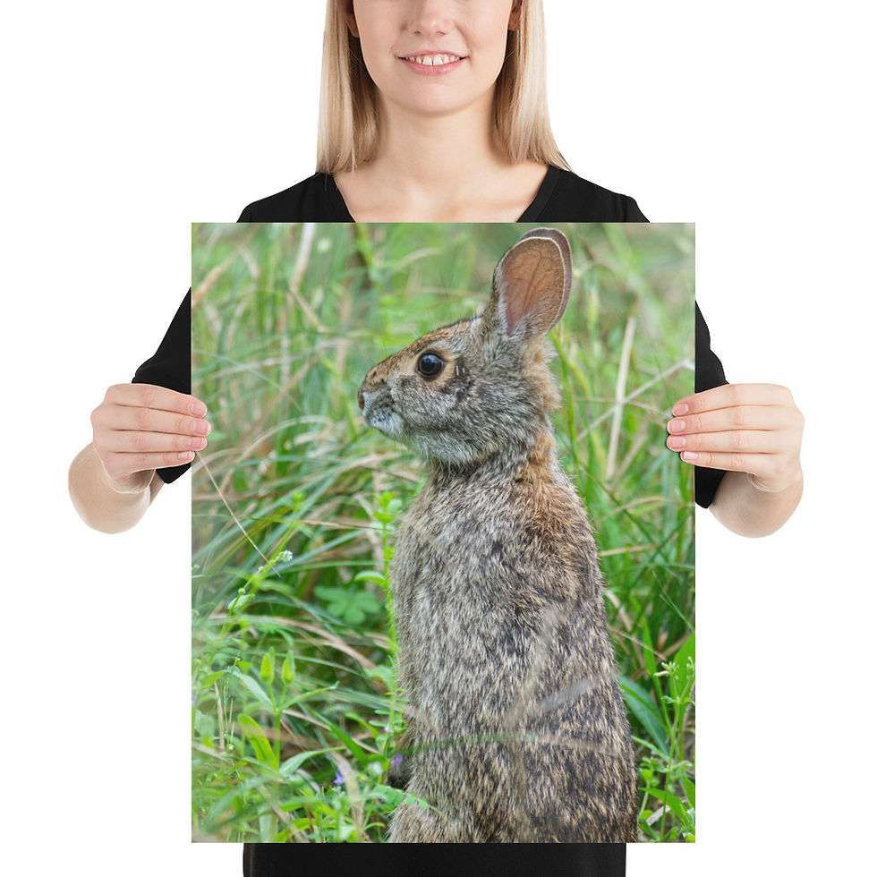 Thumbnail: Poster