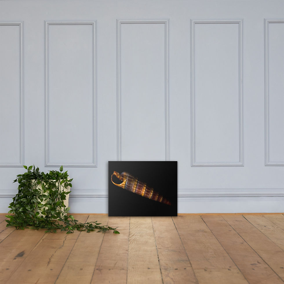 Thumbnail: Canvas