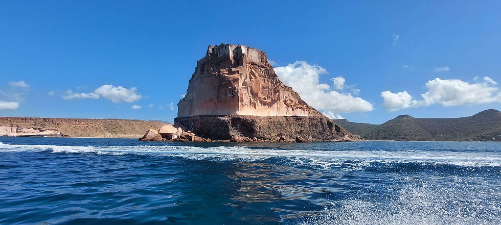 Miniatura: Isla espíritu santo 