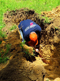 Soil morphology.
