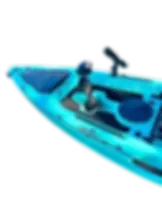 Thumbnail: Black Tip Shark