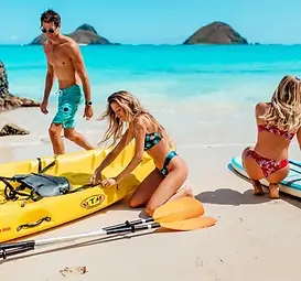 rs=w_365,h_365,cg_true (1).webp