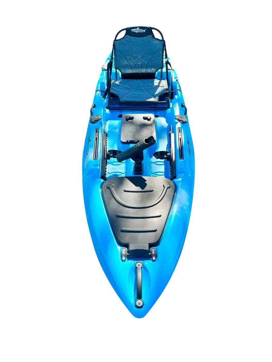 Thumbnail: Reef Shark 10’
