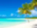 website pic.webp