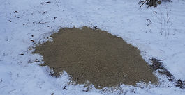 "Wieziemy karmy pełen wóz" czyli kolejne dokarmiania zwierzyny w KŁ Jarząbek