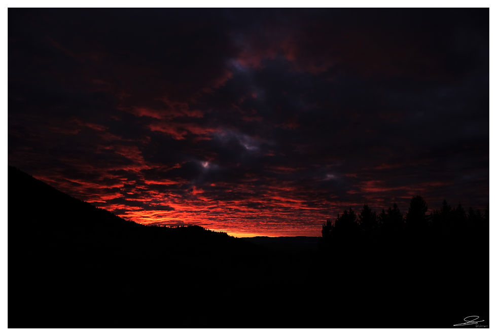 DSCF8550.jpg C