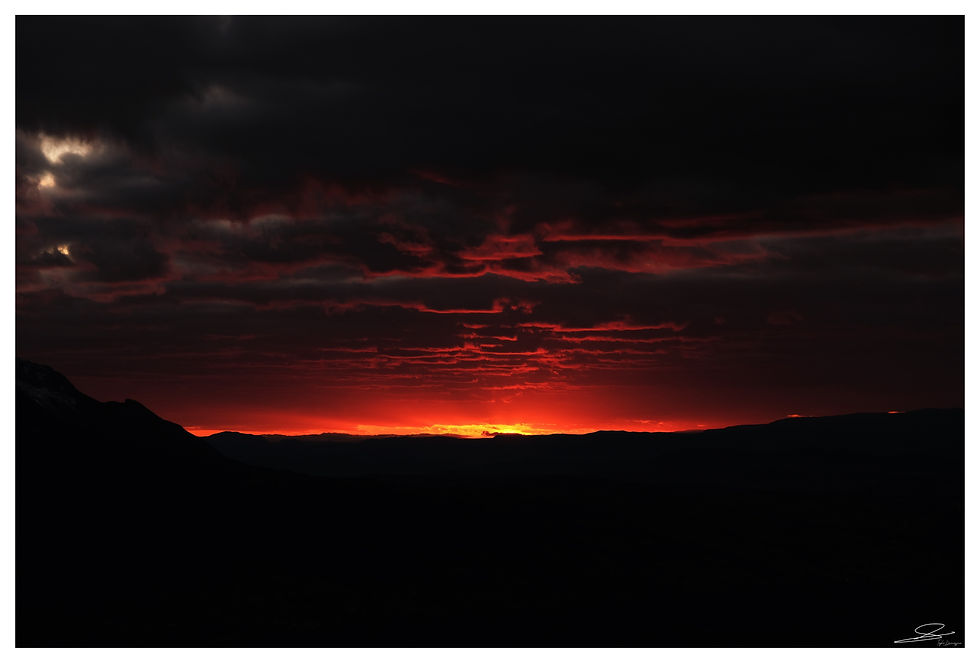 DSCF8594.jpg C