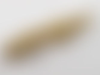 連なったれんこん