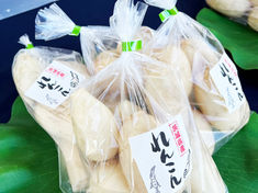 【阿見町】恒例の「れんこん直売所」開催のお知らせ（ヤマシン蓮根）
