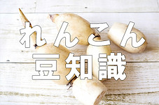 れんこん豆知識（株式会社ヤマシン商事）