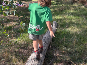 🌿 Invitations: Gentle Pathways Into Play for Children Aged 3–8