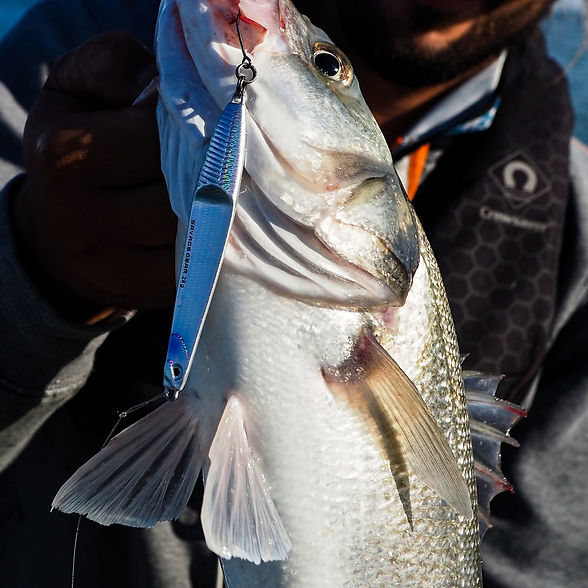 criccieth tackle box JIG HEADS