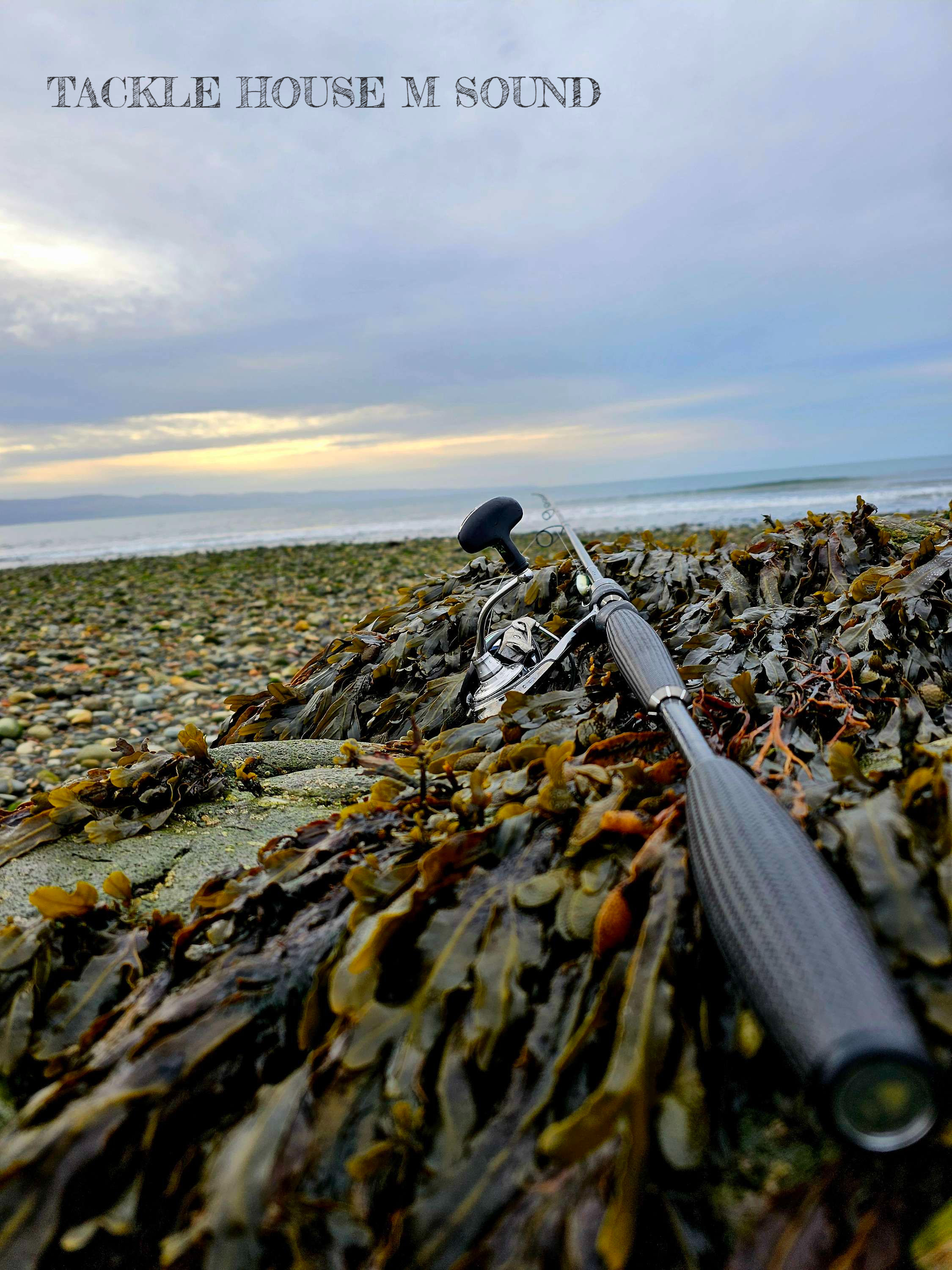 TACKLE HOUSE M SOUND