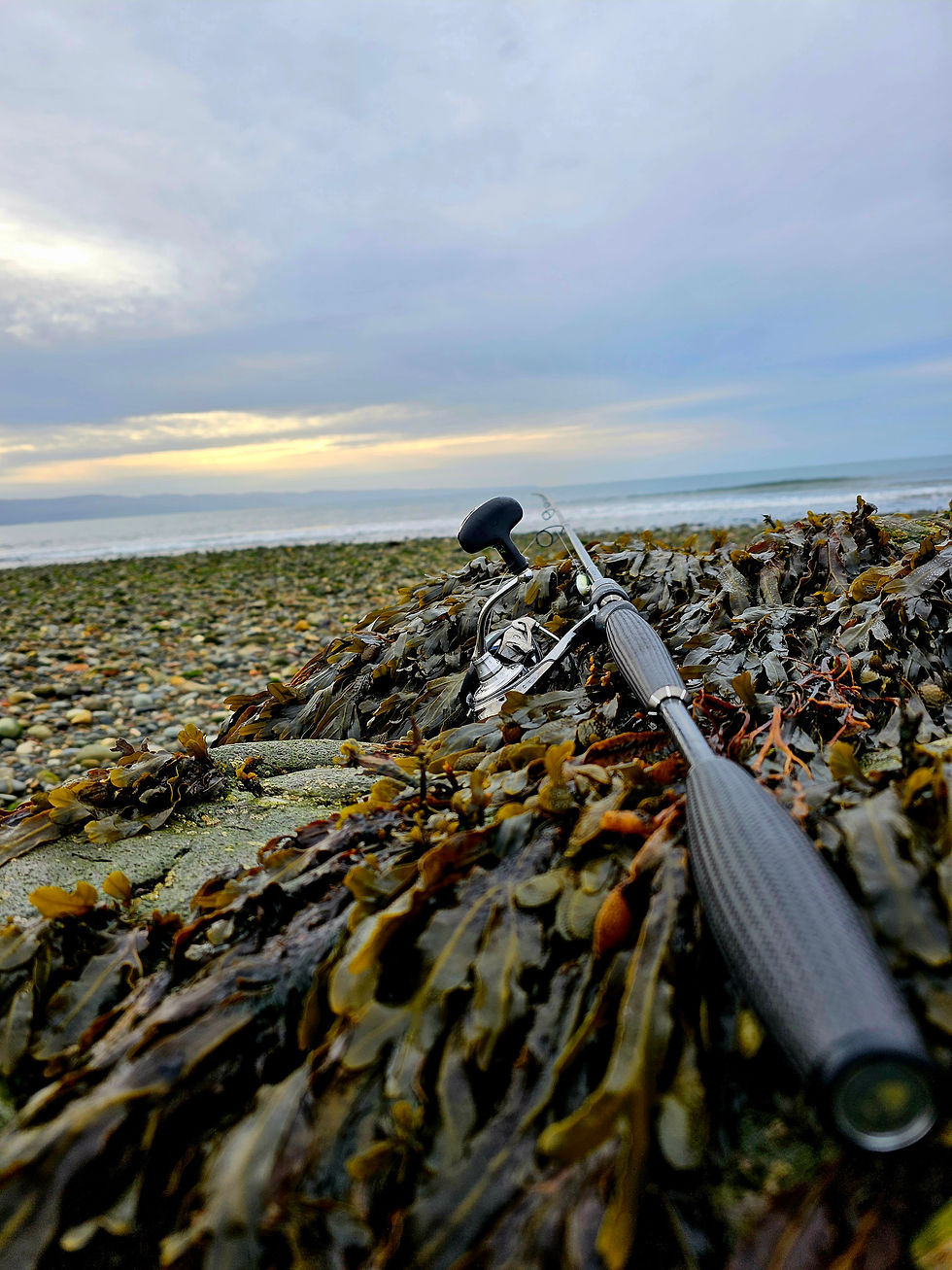 SAVAGE GEAR SEEKER ISP 12 GRAM