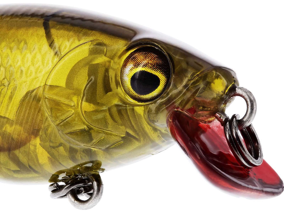 Thumbnail: WESTIN BUZZBITE SR