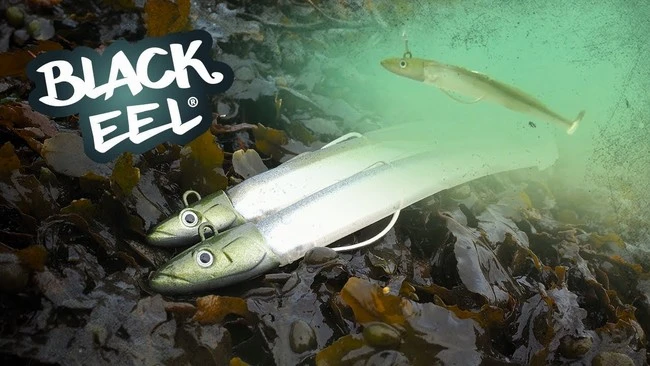 FIIISH BLACK EEL