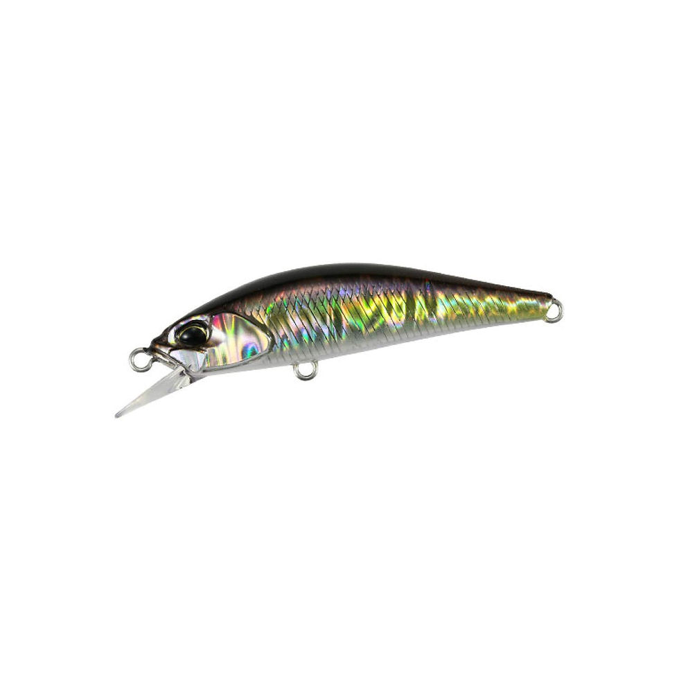 Thumbnail: DUO RYUKI SPEARHEAD 50S / SW