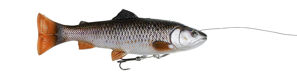 Thumbnail: SAVAGE GEAR 4D LINE THRU PULSE TAIL TROUT