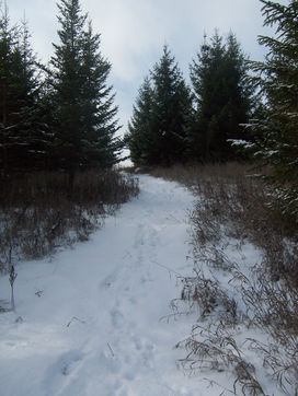 100_3355.jpg