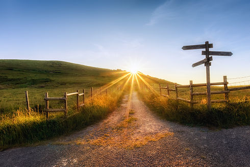 Pathway.jpg