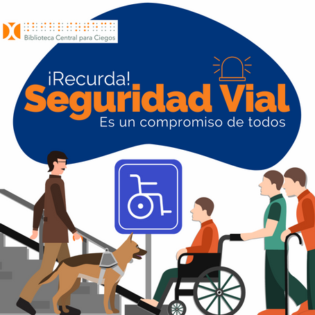 Seguridad Vial