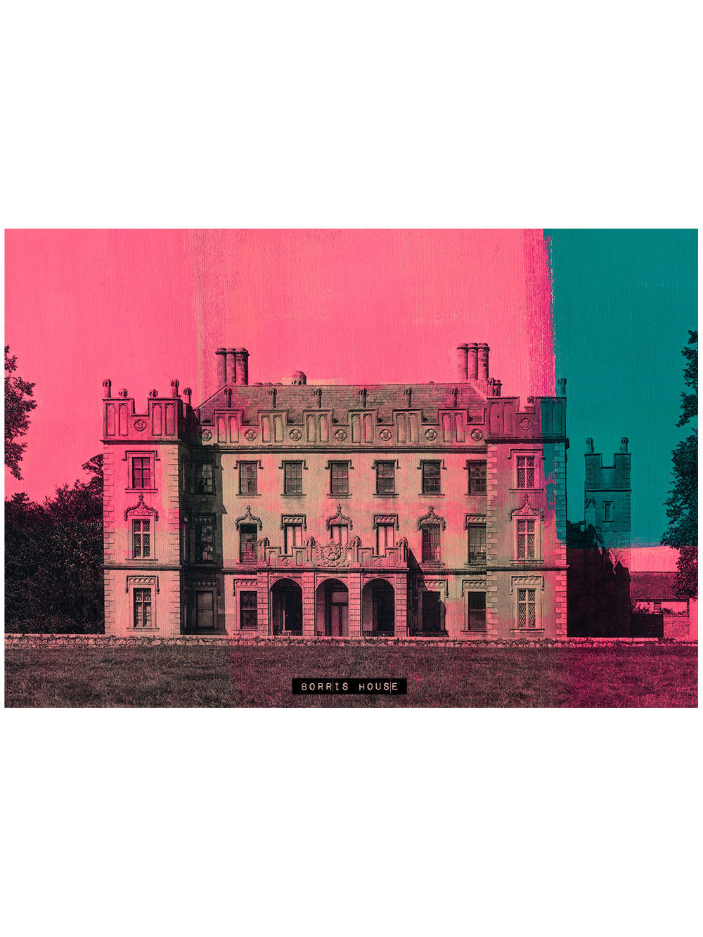 Borris House, Carlow 1 - Limited Edition from