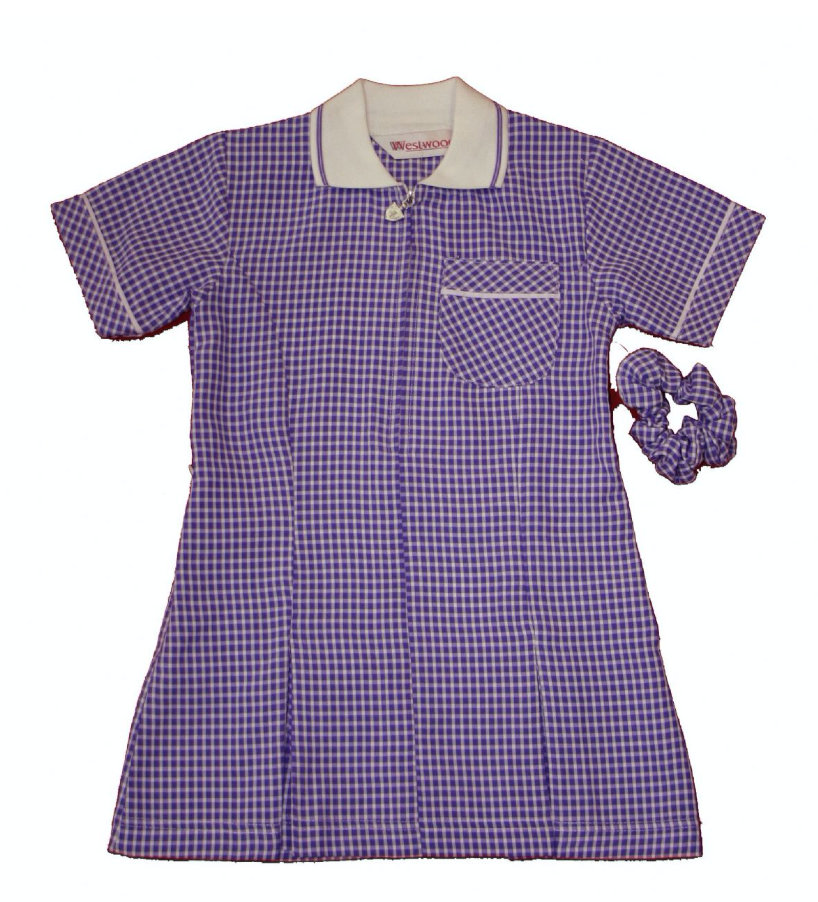 Summer Dress (purple)