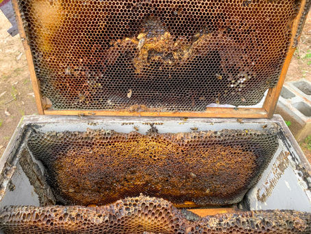 Buyer Beware | Part 2