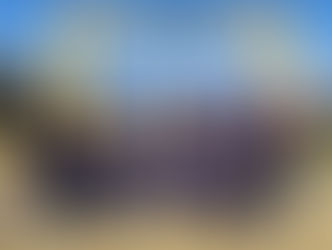 🌟School Trip, Wrapping up Term 2🌟