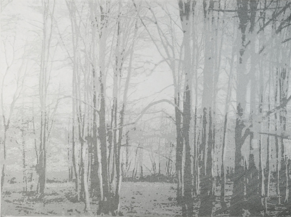 Intimate Landscape I