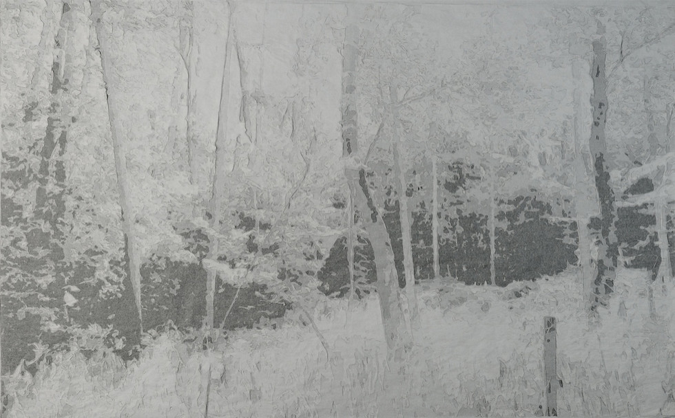Intimate Landscape