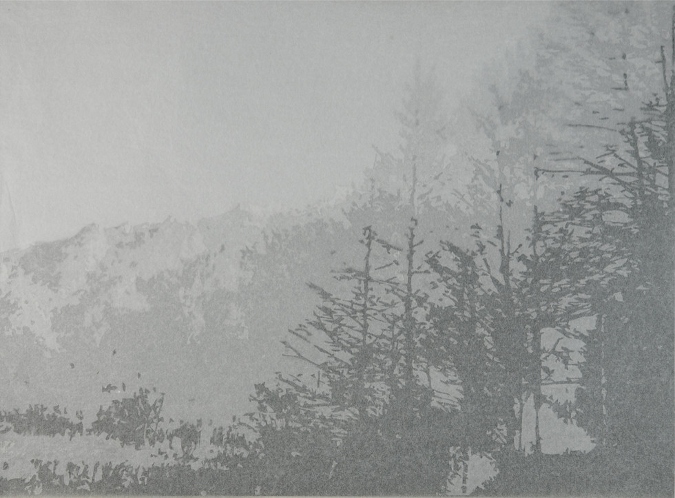 Intimate Landscape