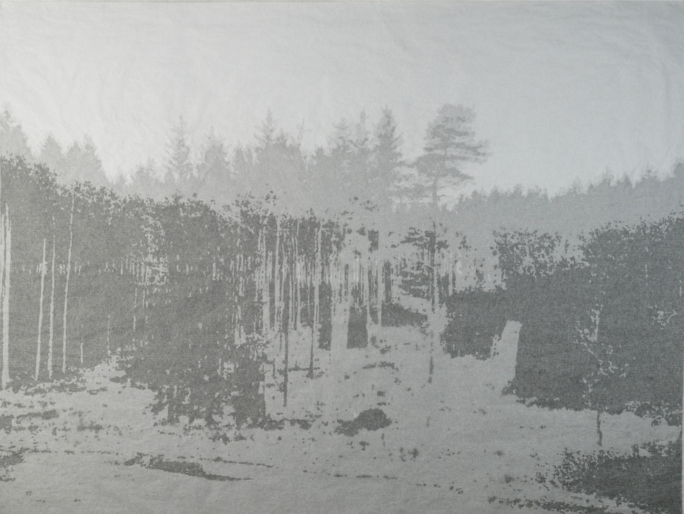 Intimate Landscape II