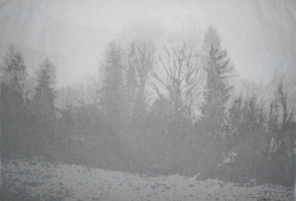 Intimate Landscape